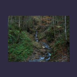 2012-10-20_Fall_AQUILA (279).JPG